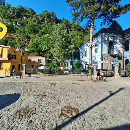 Alongside Park Borjomi 호텔 외부 사진